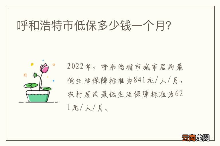 呼和浩特市低保多少钱一个月？