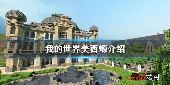 我的世界美西螈是什么 我的世界美西螈介绍