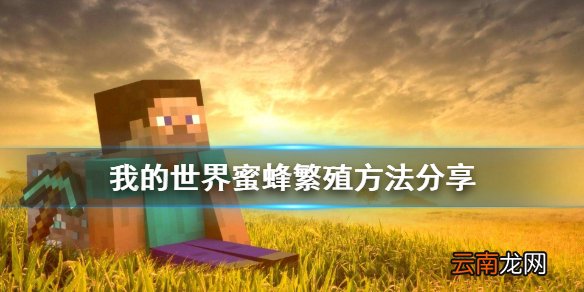 我的世界蜜蜂怎么繁殖 我的世界蜜蜂繁殖方法分享