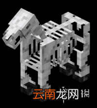 我的世界骷髅马怎么获得 我的世界骷髅马生成条件介绍
