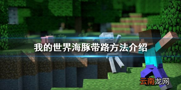 我的世界海豚怎么带路 我的世界海豚带路方法介绍