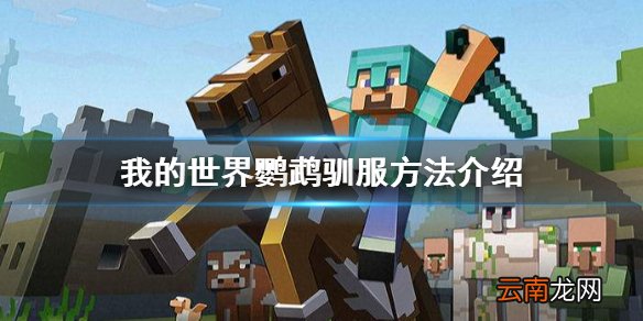 我的世界鹦鹉怎么驯服 我的世界鹦鹉驯服方法介绍
