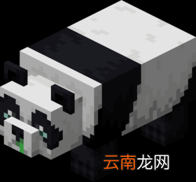 我的世界熊猫在哪 我的世界熊猫生成位置介绍