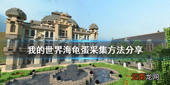 我的世界海龟蛋怎么采集 我的世界海龟蛋采集方法分享