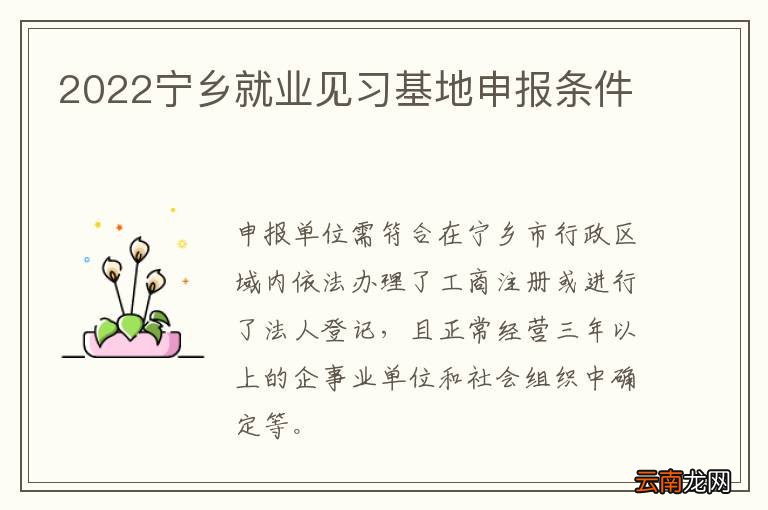 2022宁乡就业见习基地申报条件