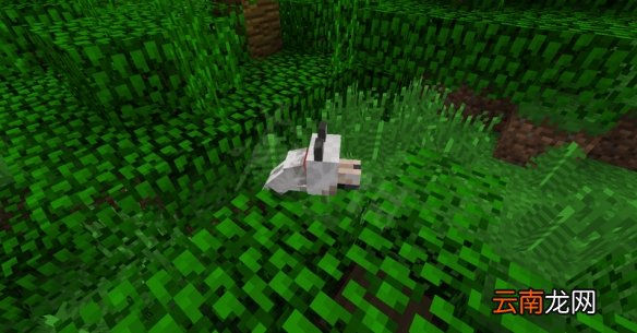 我的世界1.15版本更新了什么 新内容生物方块