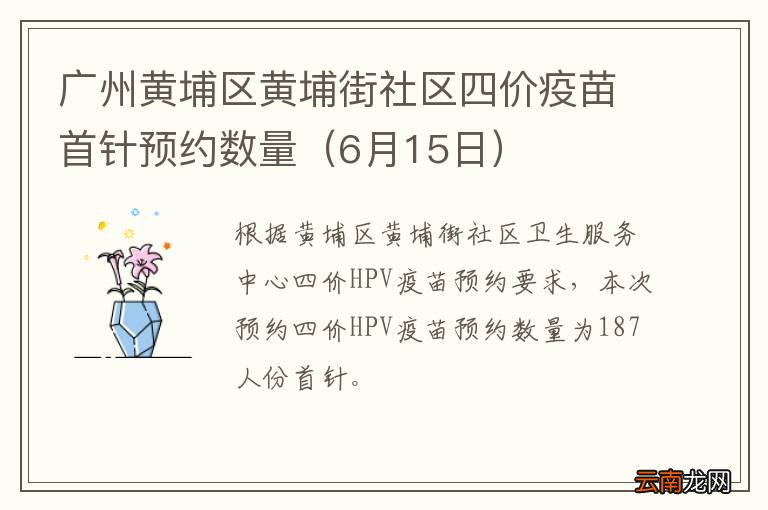 6月15日 广州黄埔区黄埔街社区四价疫苗首针预约数量