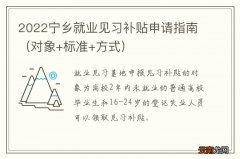 对象+标准+方式 2022宁乡就业见习补贴申请指南
