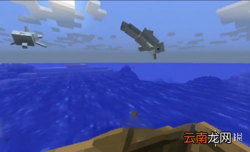 我的世界海豚驯服教程 我的世界海豚怎么驯服 海豚驯服条件