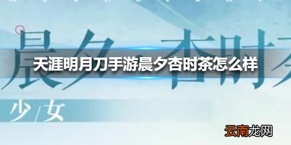 天涯明月刀手游晨夕杏时茶怎么样 天涯明月刀手游晨夕杏时茶一览