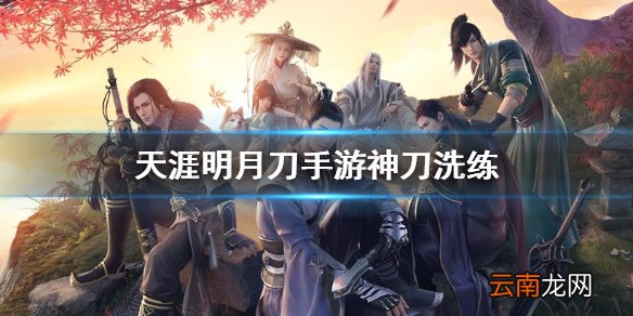 天涯明月刀手游神刀洗练 天涯明月刀手游神刀洗练属性推荐