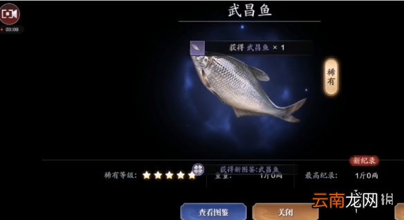 天涯明月刀手游武昌鱼在哪钓 天涯明月刀手游武昌鱼钓鱼点介绍
