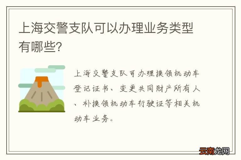 上海交警支队可以办理业务类型有哪些？
