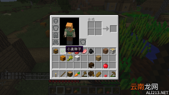 我的世界1.10生存玩法图文攻略