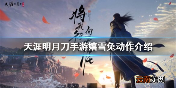 天涯明月刀手游嬉雪兔动作介绍 天涯明月刀手游嬉雪兔动作怎么样