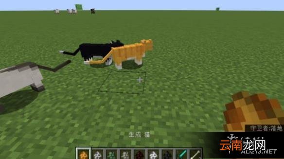 《我的世界》刷怪蛋玩法解析攻略 随机出现凋灵骷髅