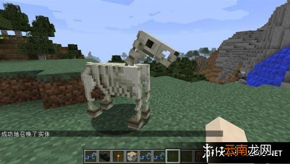 《我的世界》1.9骷髅马寻找方法及生成代码解析攻略
