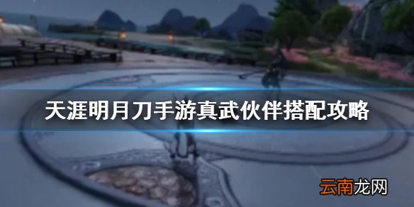 天涯明月刀手游真武伙伴怎么选 天涯明月刀手游真武伙伴搭配攻略