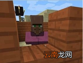 《我的世界》村庄农民繁衍方法解析攻略