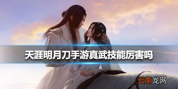 天涯明月刀手游真武技能厉害吗 天涯明月刀手游真武技能介绍
