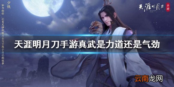 天涯明月刀手游真武是力道还是气劲 力道流和气劲流介绍