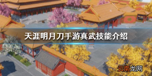 天涯明月刀手游真武技能介绍 天涯明月刀手游真武技能怎么样