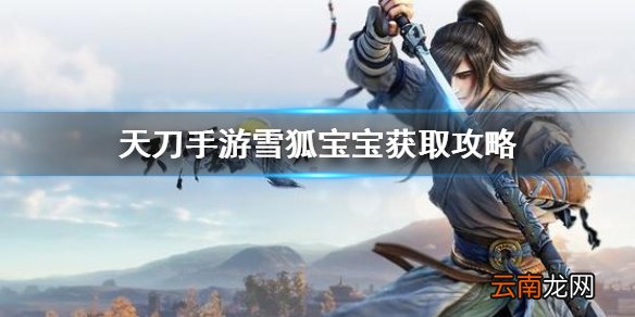 天涯明月刀手游雪狐宝宝怎么抓 天刀手游雪狐宝宝获取攻略