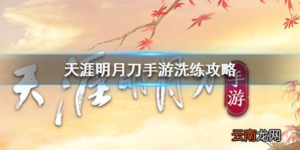 天涯明月刀手游洗练攻略 天涯明月刀手游各个阶段洗练怎么选