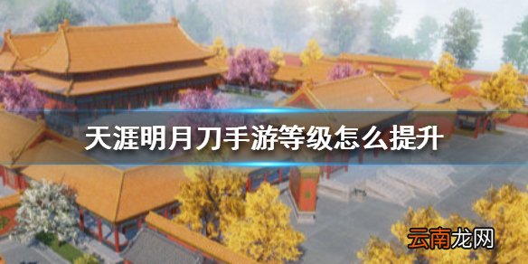 天涯明月刀手游等级怎么提升 天涯明月刀手游等级提升方法