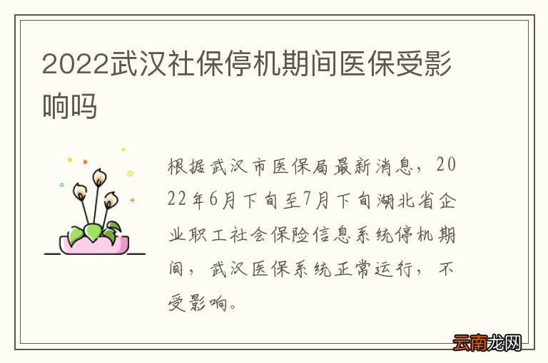 2022武汉社保停机期间医保受影响吗