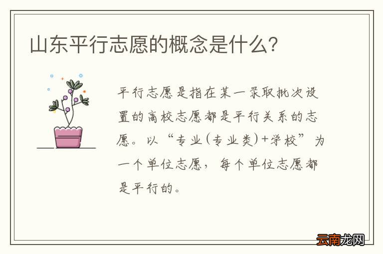山东平行志愿的概念是什么?