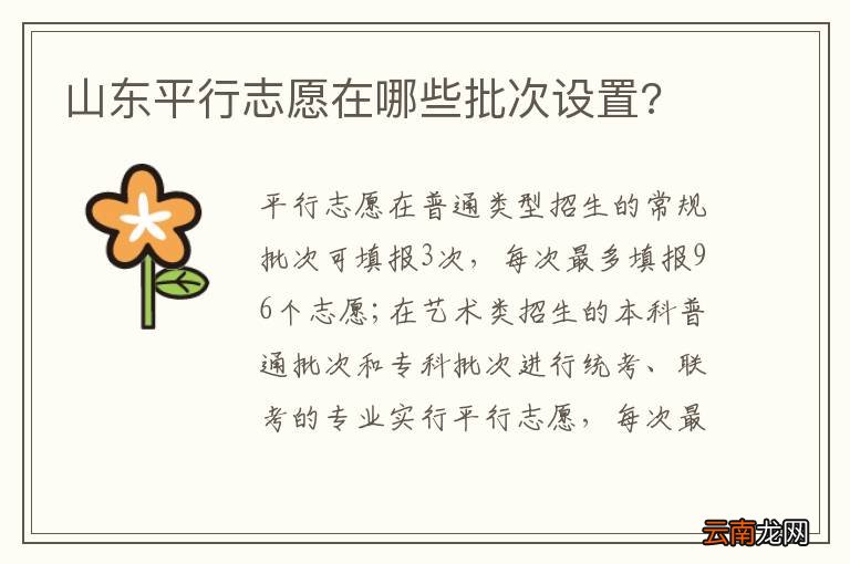 山东平行志愿在哪些批次设置?