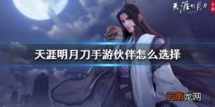天涯明月刀手游伙伴怎么选择 强力伙伴推荐