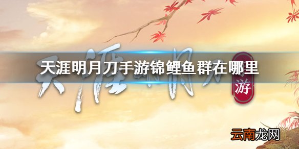 天涯明月刀手游锦鲤鱼群在哪里 天涯明月刀手游锦鲤鱼群位置介绍