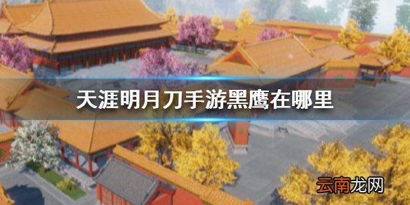 天涯明月刀手游黑鹰在哪里 天涯明月刀手游黑鹰位置介绍
