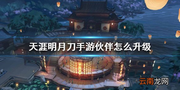 天涯明月刀手游伙伴怎么升级 伙伴升级攻略