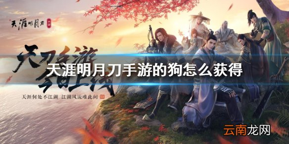 天涯明月刀手游的狗怎么获得 狗获得方法介绍