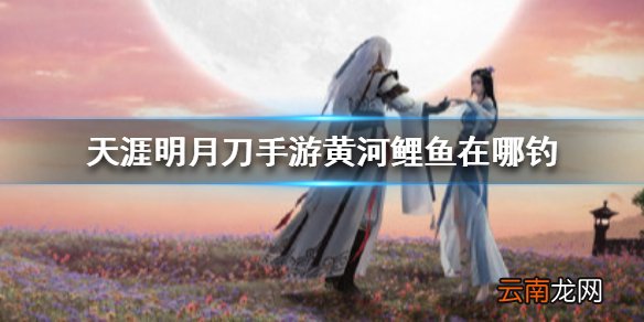 天涯明月刀手游黄河鲤鱼在哪钓 天涯明月刀手游黄河鲤鱼位置介绍
