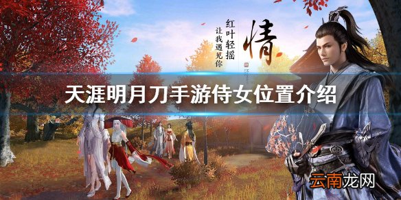 天涯明月刀手游江南聆音楼侍女在哪 天涯明月刀手游侍女位置介绍