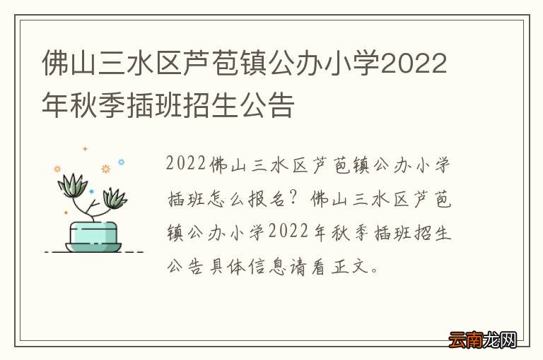 佛山三水区芦苞镇公办小学2022年秋季插班招生公告
