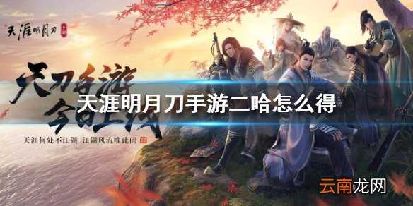 天涯明月刀手游二哈怎么得 二哈获得方法介绍