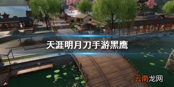 天涯明月刀手游黑鹰在哪里 天刀手游黑鹰位置分享