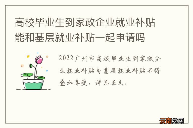 高校毕业生到家政企业就业补贴能和基层就业补贴一起申请吗