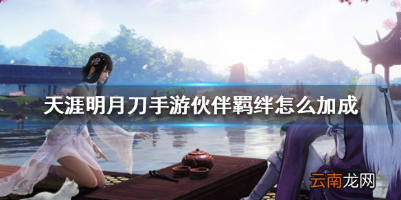 天涯明月刀手游伙伴羁绊怎么加成 天涯明月刀手游伙伴羁绊加成攻略