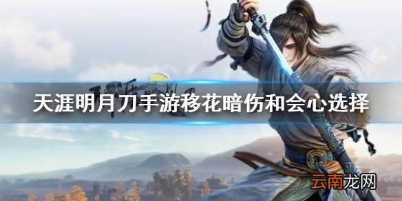 天涯明月刀手游移花选会心还是暗伤 天涯明月刀手游会心和暗伤的区别介绍