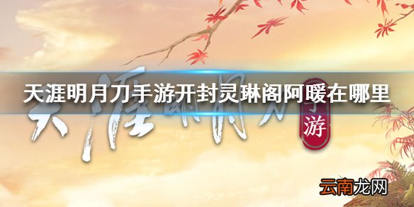 天涯明月刀手游开封灵琳阁阿暖在哪里 天涯明月刀手游阿暖位置介绍