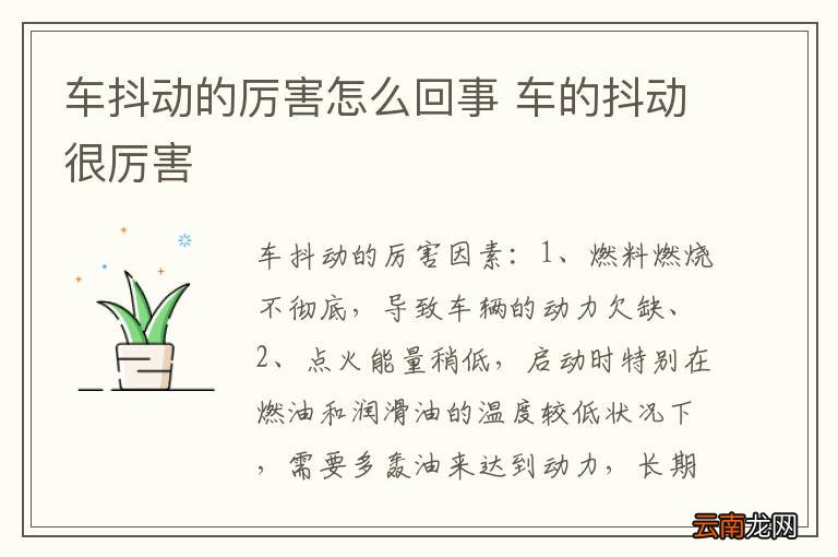 车抖动的厉害怎么回事 车的抖动很厉害