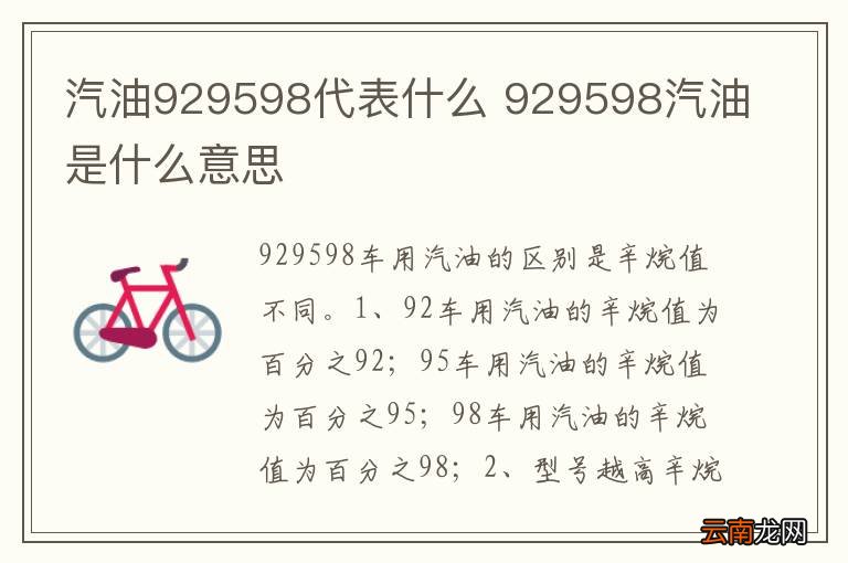 汽油929598代表什么 929598汽油是什么意思