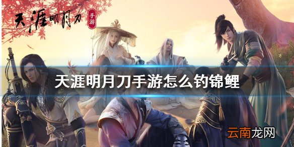 天涯明月刀手游怎么钓锦鲤 天涯明月刀手游钓锦鲤方法介绍