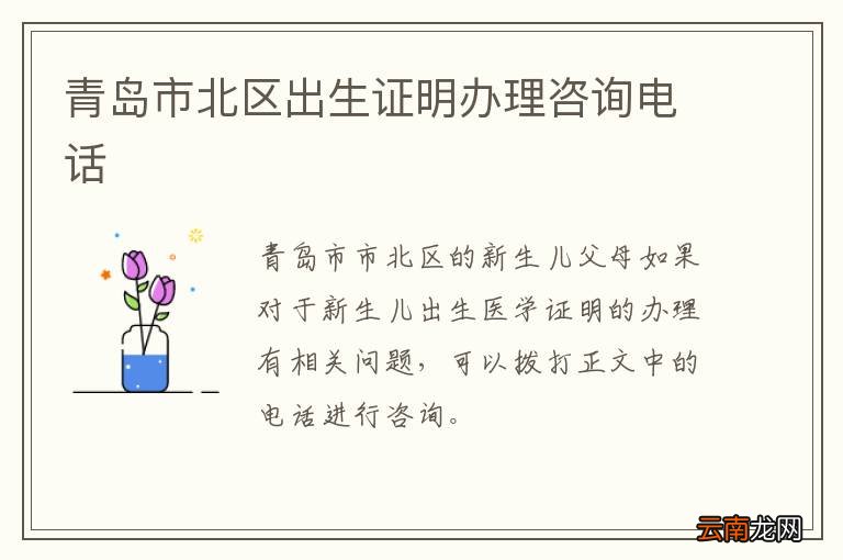 青岛市北区出生证明办理咨询电话